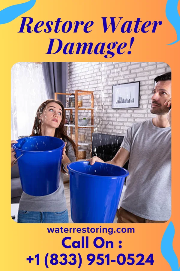 water restoration Priority Damage Restoration Specialists Theodosia