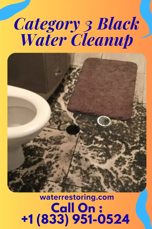 Category 3 Black Water Cleanup in Theodosia, MO