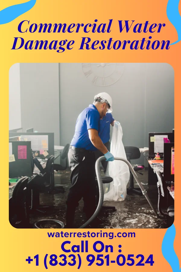 Commercial Water Damage Restoration in Theodosia, MO