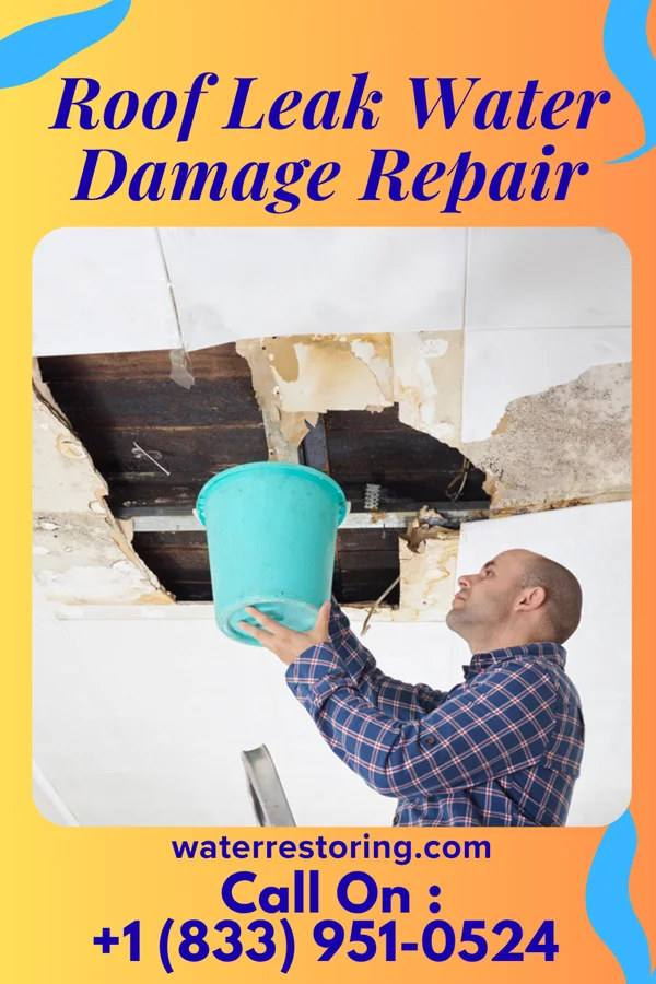 Roof Leak Water Damage Repair in Theodosia, MO