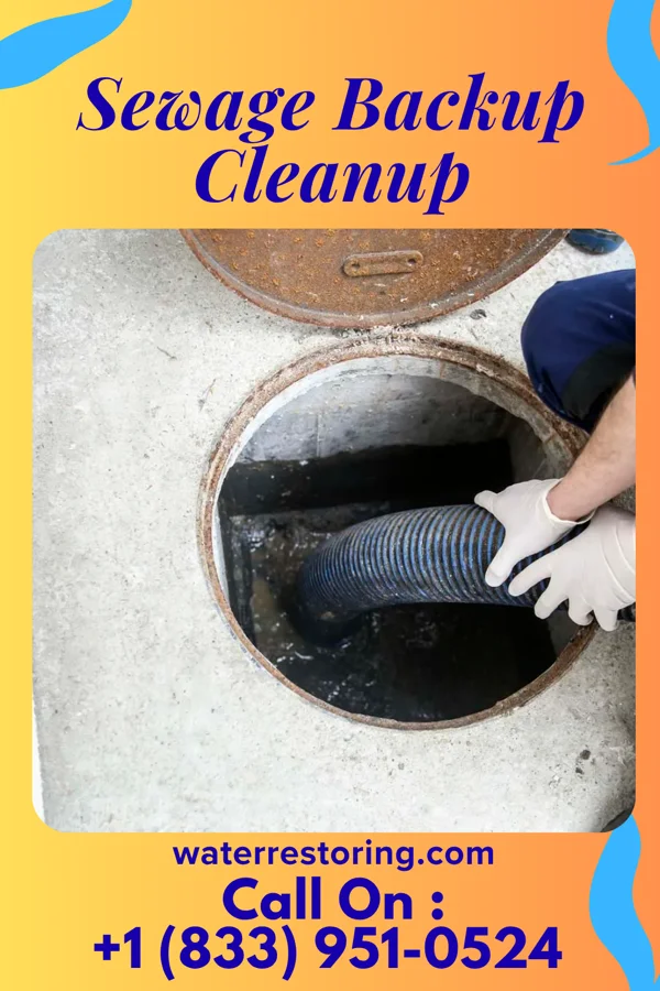 Sewage Backup Cleanup in Theodosia, MO